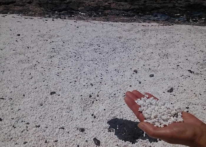 Dom wakacyjny Casa Fico De India Accogliente In Zona Strategica