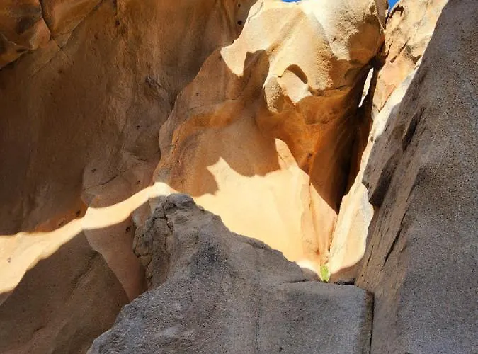 Dom wakacyjny Casa Fico De India Accogliente In Zona Strategica