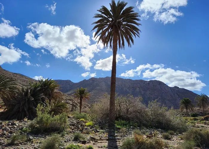 Casa Fico De India Accogliente In Zona Strategica Tatil Evi Corralejo
