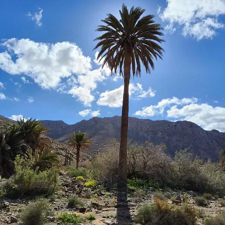 Casa Fico De India Accogliente In Zona Strategica بيت للعطل كوراليهو