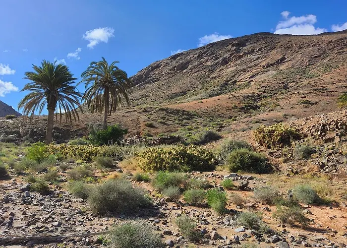 Casa Fico De India Accogliente In Zona Strategica